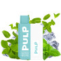 TecoVape STARTER KIT MENTHE POLAIRE - LE POD FLIP BY PULP