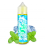 TecoVape E-LIQUIDE ICEE MINT FRUIZEE - SHORTFILL FORMAT - ELIQUID FRANCE | 50ML